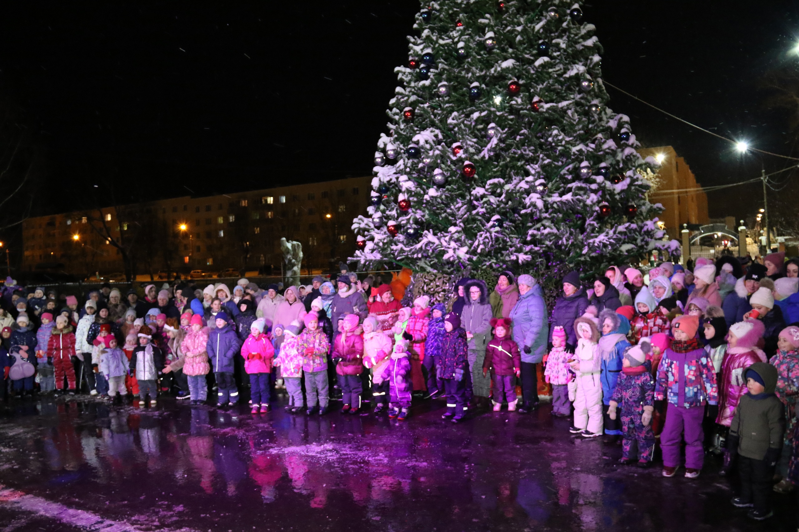 Мособллес лесничие. Запрудня пруд. Посёлок запрудня талдомский район. Погода в запрудне талдомский на 10 дней. Запрудня фото поселка.